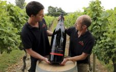 英国葡萄酒零售商Majestic公布新计划，重新赢回流失的客户