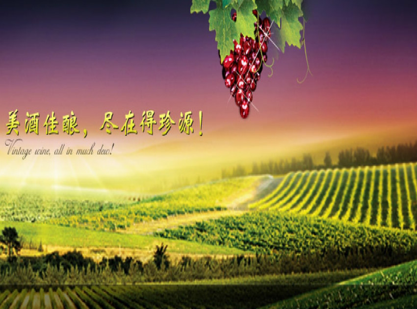得珍源酒业Dezhenyuan Winery