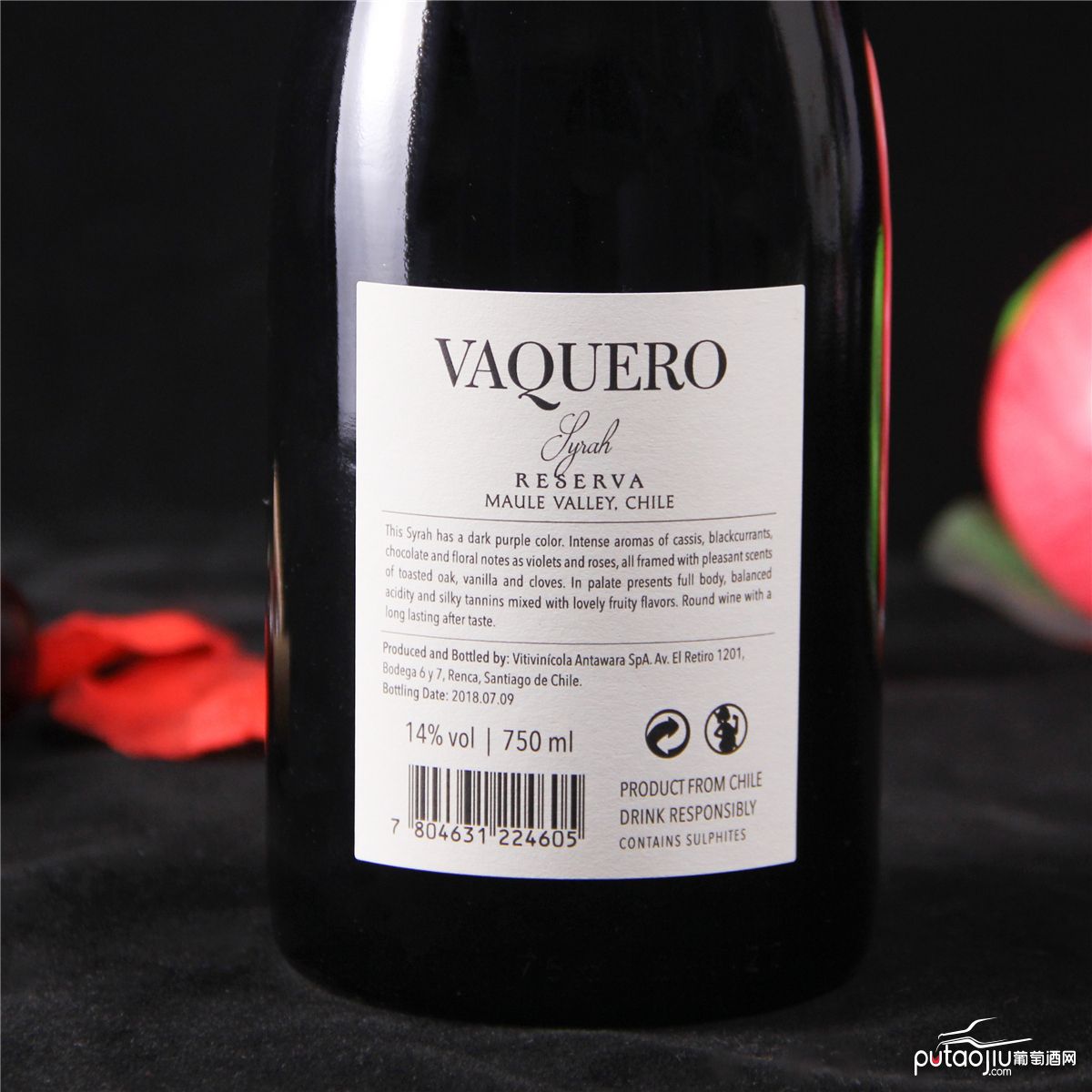 智利莫莱谷骑士维卡罗珍藏西拉干红葡萄酒红酒