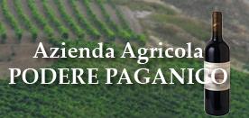 帕加尼科酒庄Podere Paganico