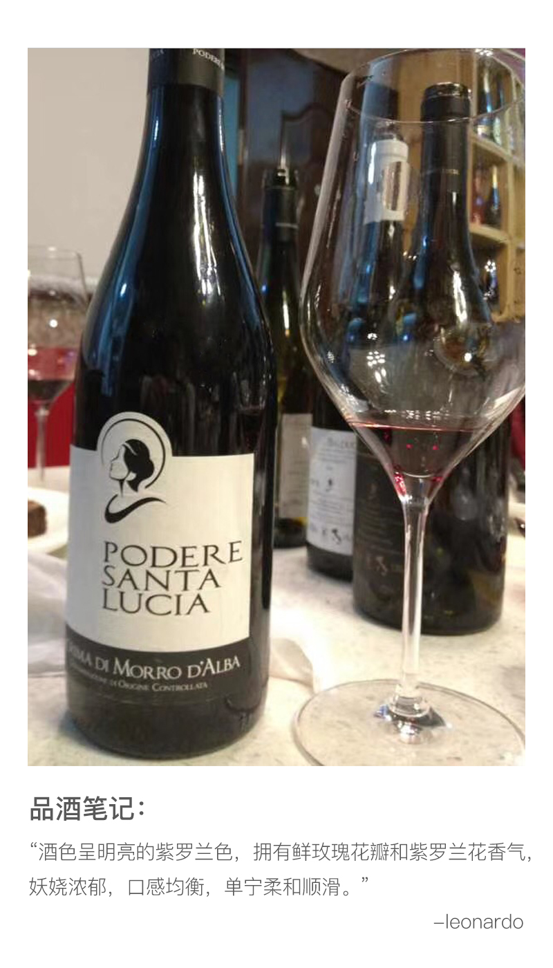 意大利马尔凯法定产区黑露珠经典版红葡萄酒红酒