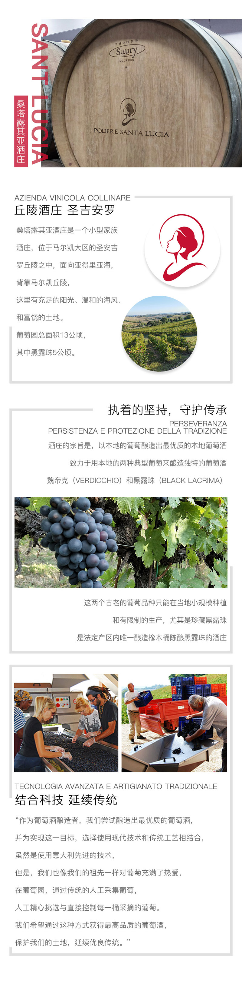 意大利马尔凯法定产区黑露珠珍藏版红葡萄酒红酒