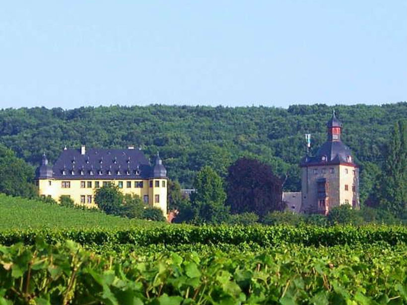 沃尔莱茨酒庄Schloss Vollrads