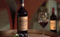 威龙葡萄酒发布2020年年报及2021年一季报