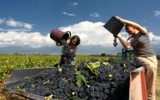 2021年第一季度格鲁吉亚葡萄酒及其他酒类出口数据出炉