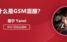 什么是GSM混酿？