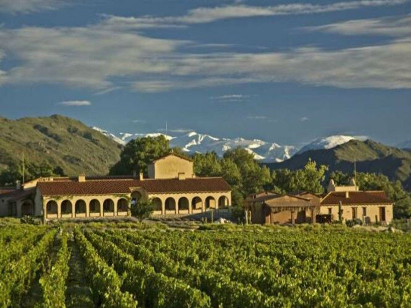 安第酒庄Andean Vineyards