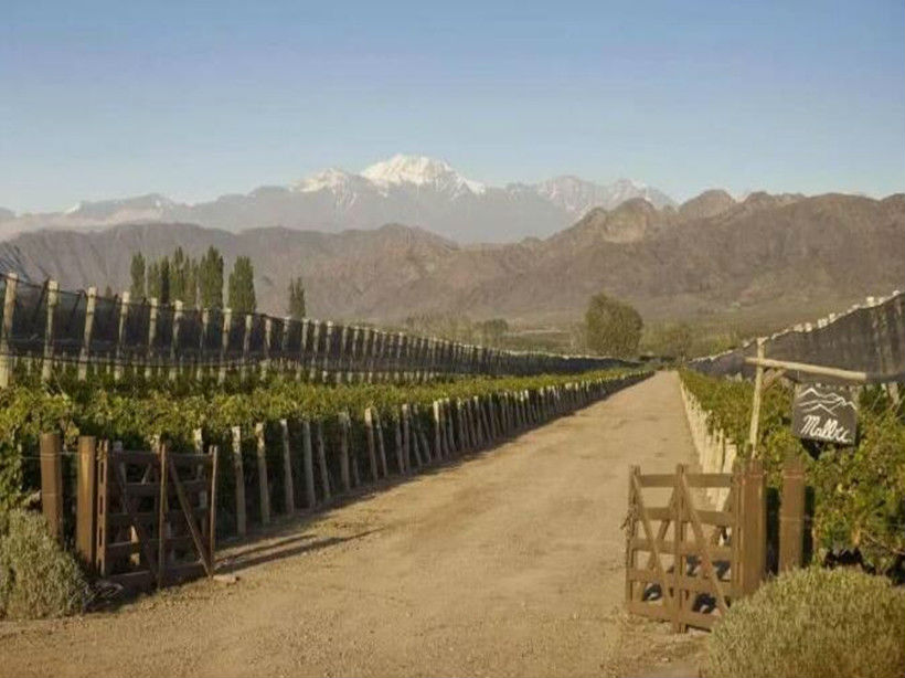 安第斯台阶酒庄Terrazas de los Andes