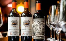 智利干露葡萄酒集团推出首款同名高端系列产品