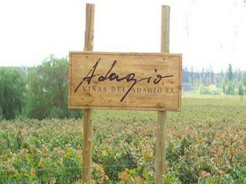 阿达焦酒庄Vinas del Adagio