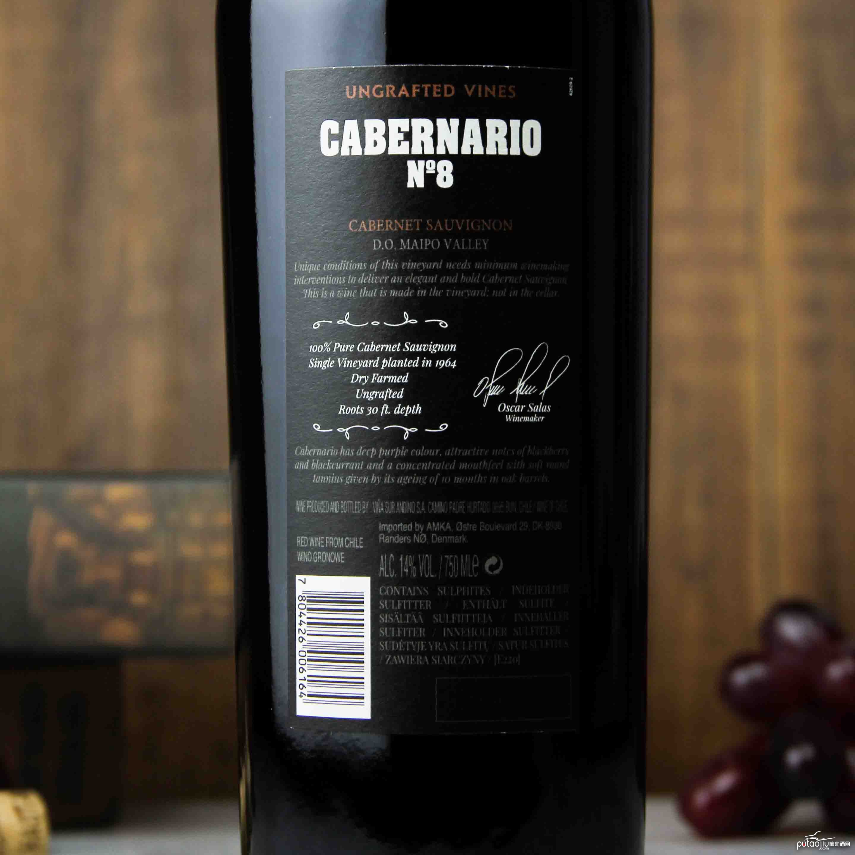 智利迈坡谷圣丽塔酒庄卡本纳里欧赤霞珠红葡萄酒 