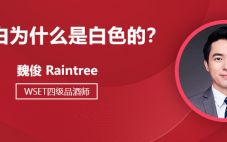 干白為什么是白色的？