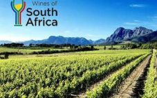 南非葡萄酒业协会计划进一步增加对华出口