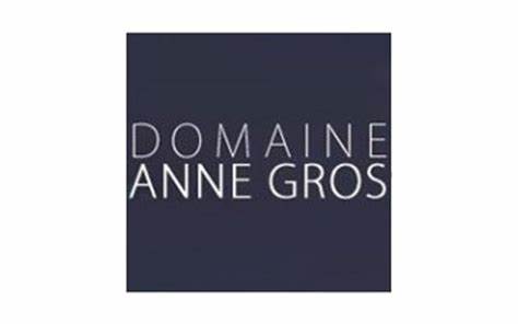 安格奥斯酒庄Domaine Anne Gros