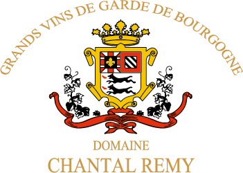 路易雷米酒庄Domaine Louis Remy