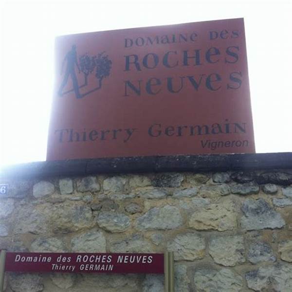 新石酒庄Domaine des Roches Neuves