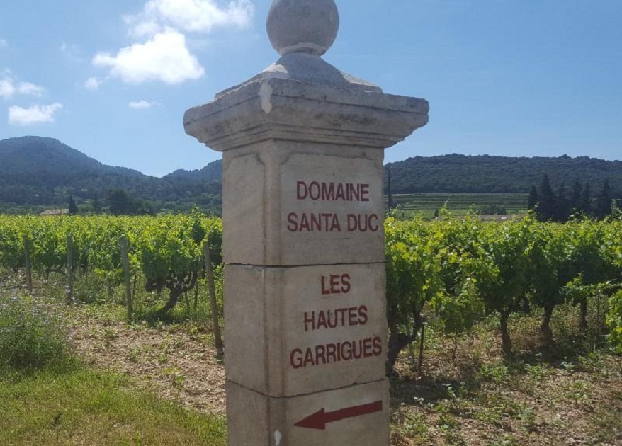 圣杜卡酒庄Domaine Santa Duc