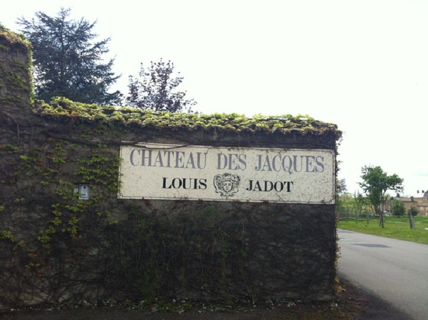 德斯雅克酒庄Chateau Des Jacques