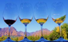 南非葡萄酒协会发布2021年南非葡萄酒出口报告