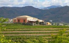 意大利托马斯酒庄收购埃特纳山15公顷葡萄园