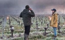 法国多地遭受风暴袭击，葡萄酒产区受损严重