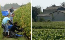 Château Croque-Michotte酒庄宣布退出2022年圣埃美隆列级庄分级