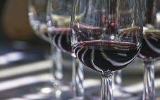 葡萄酒中常见的6种花香