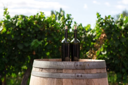 葡萄酒和适度:什么是健康的？