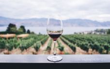 四个侍酒师认可的建议，为你的品酒选择完美的葡萄酒