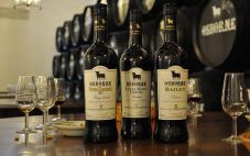 探索雪利酒——西班牙的强化葡萄酒