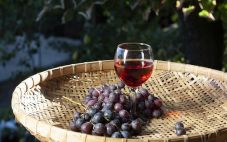 为什么有机葡萄酒这么难酿造？