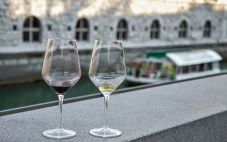 罗讷产区AOC葡萄酒风格视觉指南