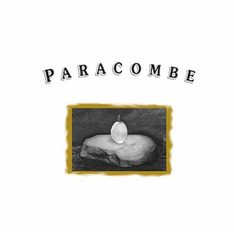 帕洛崗酒莊Paracombe