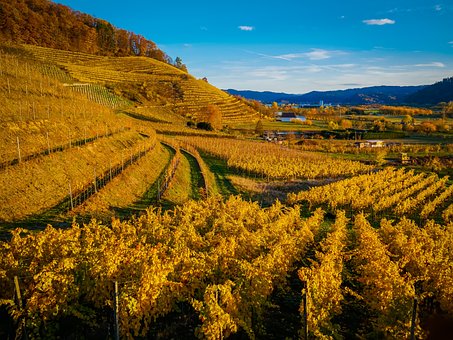 世界葡萄酒产区介绍我们了解多少呢？
