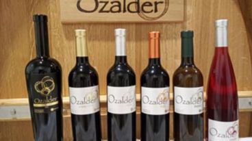 奧薩德Bodega Ozalder酒莊—為整個西班牙生產葡萄藤經驗豐富的家族