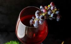 神索曾经是一种混合葡萄，现在已经在南半球声名鹊起