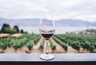 为什么高海拔地区酿造的葡萄酒味道如此之好