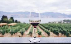 为什么高海拔地区酿造的葡萄酒味道如此之好