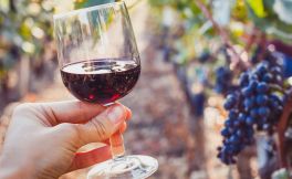 在葡萄酒酿造中，什么是冲酒和泵酒？它们重要吗？