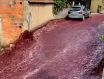 葡萄牙知名酿酒厂发生酒罐爆裂 近220万升的葡萄酒倾泻而出形成红酒河流