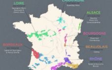 法国预计将再次成为全球最大的葡萄酒生产国