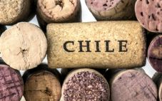 智利葡萄酒不惧挑战 2024年对中国市场依然保持积极乐观