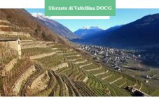  比巴罗洛更浓郁强劲的Sforzato di Valtellina DOCG石佛多产区