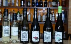 奥地利葡萄酒出口价值增加 出口额增长了2.7%